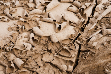 Brown rusty grunge background. Abstract texture of dry clay ground with cracks