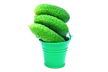 Cucumbers in a small green bucket