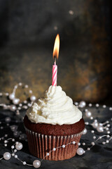 One cupcake with burning candle, birthday gift, vertical