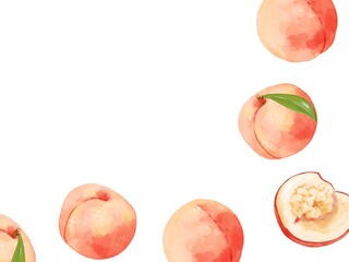 Fototapeta premium 手描き水彩の桃イラスト長方形フレーム・右下