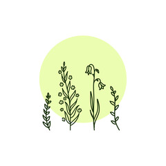 hand drawn wildflowers doodle vector