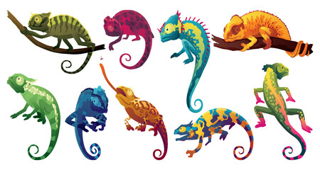 Chameleon lizards. Reptiles with curved tail and camouflage skin, tropical wildlife. Exotic animals closeup © designer_things