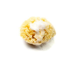 Natural Sponge Isolated