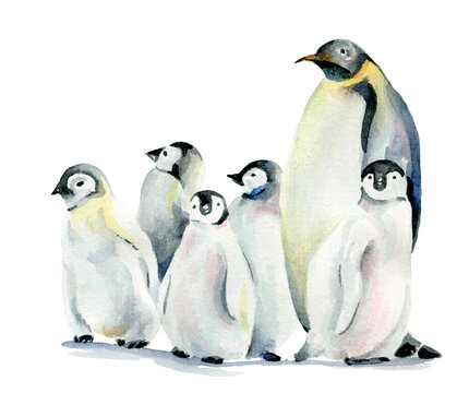 Six cute penguins. Watercolor, on a white background.