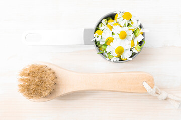 Skin care with medical chamomile. Dry massage brush and flowers on a white background.
