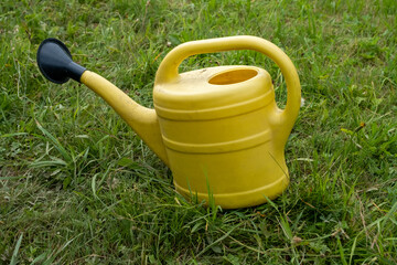 yellow watering can for watering flowers on a green meadow background.