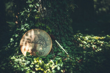 shamanic drum in nature, shamanic drum made of deer goat.