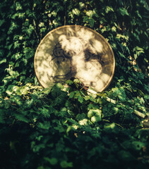 shamanic drum in nature, shamanic drum made of deer goat.