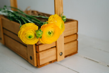 Yellow flowers in a wooden box. Beautiful bouquet of ranunculus.