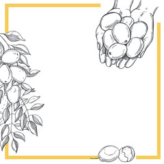  Vector background with marula.