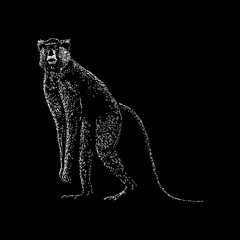Fototapeta premium Patas Monkey hand drawing vector illustration isolated on black background
