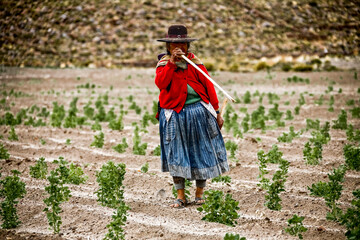 Traditionally clothed indigenous Quechua woman in Bolivia.