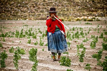 Foto op Canvas Traditionally clothed indigenous Quechua woman in Bolivia. © 279photo
