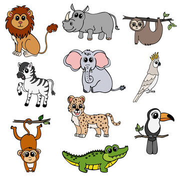Set of isolated vector images of wild animals. Lion, rhinoceros, sloth, zebra, elephant, parrot, monkey, leopard, crocodile and toucan.