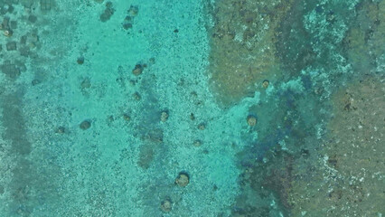 エメラルドブルーの珊瑚礁　空撮