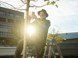 Gardener wrapping protective cloth around planted tree on sunny day