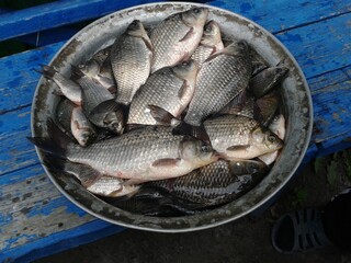 Сrucian in the pelvis