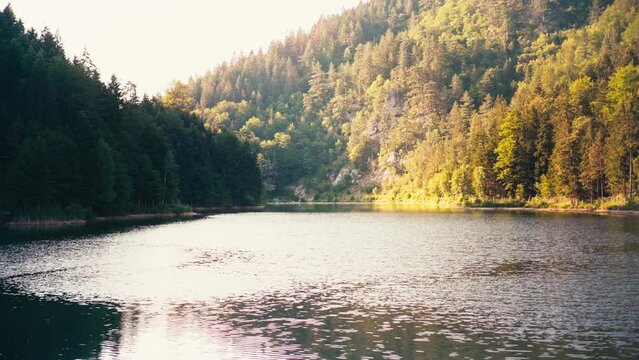 A beautiful view of the mountain lake in the Tara region of Serbia. Meditative calm footage. 