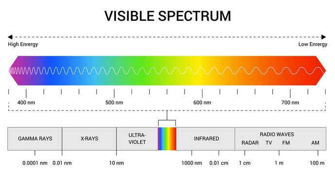 Spectrum wavelength. Visible spectrum color range. Educational physics light line. Light wave frequency. Wavelengths of the visible part of the spectrum for human eyes