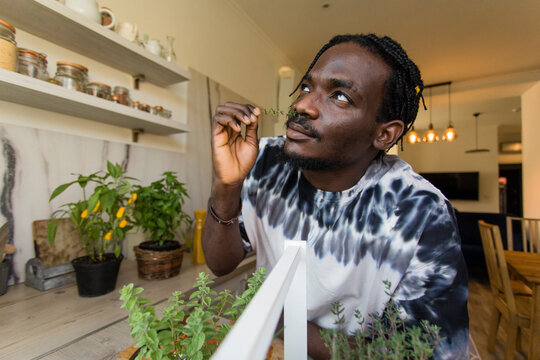 Young man smelling thyme twig at home
