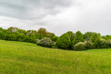 Springtime Bile Karpaty mountains in Czech republic with meadow, blossoming shrubs and trees