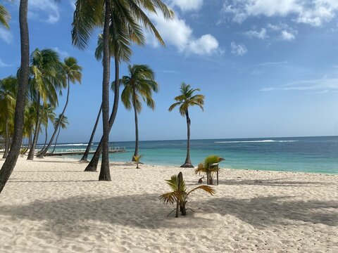PLAGE DE LA CARAVELLE _ GUADELOUPE