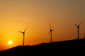 Obraz premium Windmills