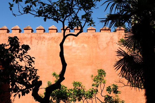 Real Alcazar de Sevilla - Garden of the Chorron