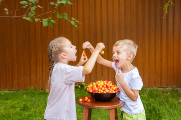 A boy and a girl are playing with cherries in the garden. In the garden on a green lawn, two children of six years old are playing with red-yellow cherries.