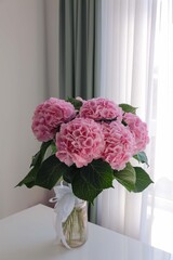 pink flower hydrangeas in a vase