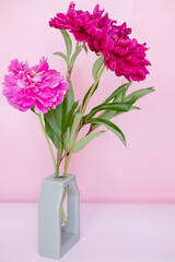 lush bouquet of pink and burgundy peonies close-up on a pink background