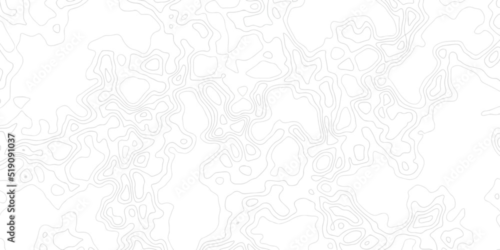 Poster topographic line contour map background, geographic grid map, stock vector illustration. background 