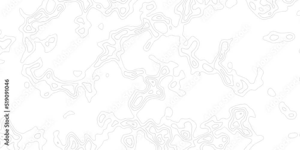Poster white wave paper curved reliefs abstract background. topographic map patterns, topography line map. 