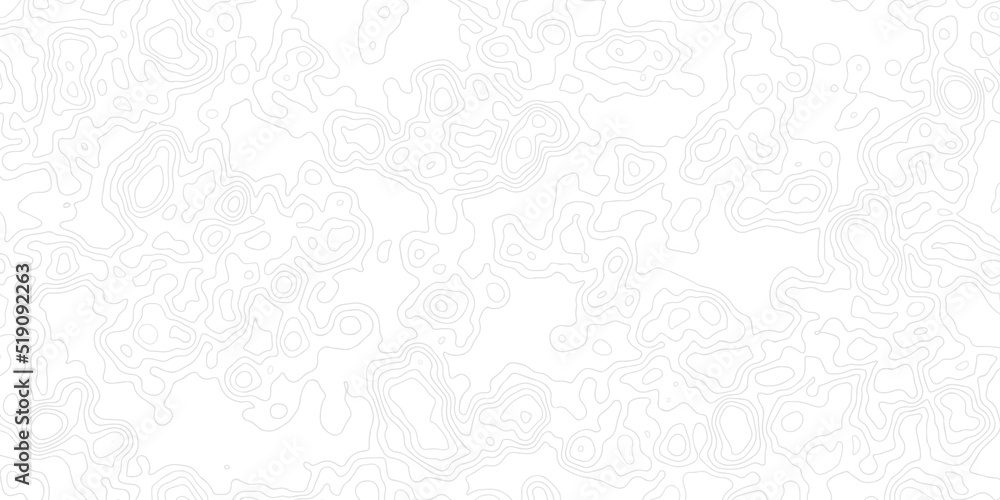 Poster background of the topographic map. topographic map lines, contour background. topographic line conto