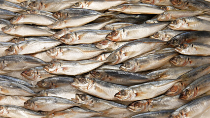 Beautiful background of many fishes on a market counter