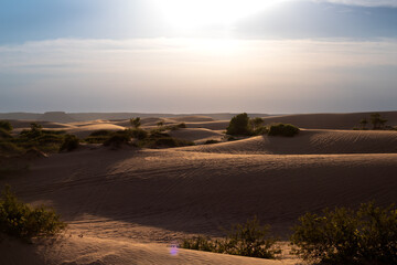 Sand Dune Landscape