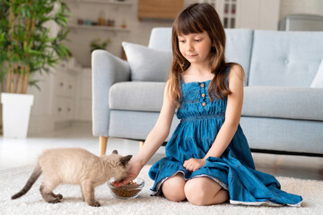 A cute little girl sits in a room on a carpet and feeds a little kitten. Children and animals, pet care concept