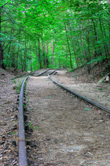 Fototapeta premium Damaged railroad tracks in the middle of the forest in Poland