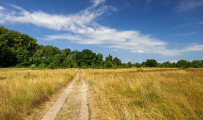 Fototapeta na wymiar Road through the field into the green forest. beautiful summer landscape
