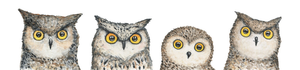 Watercolor illustration collection of four various owl characters. Symbol of wisdom, good luck, listening. Hand drawn water color graphic drawing, isolated clipart elements for design decoration.