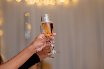 Person holding glass up during toast