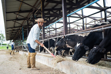 Caucasian handsome dairy farmer male working alone outdoor in cow farm