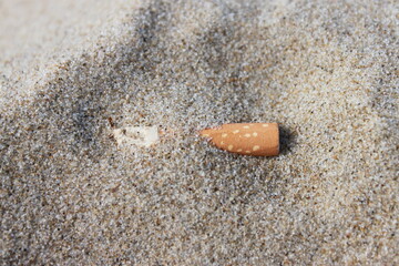 a cigarette butt lies in the sand on the beach and pollutes the environment