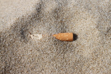 a cigarette butt lies in the sand on the beach and pollutes the environment