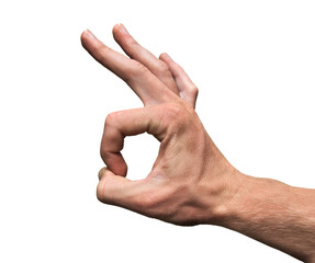 OK Hand Gesture 666