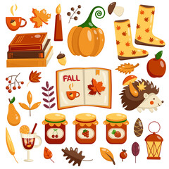 Set of autumn elements. Vector flat collection of autumn leaves and forest icons. Autumn foliage, books, pumpkin, rubber boots, mountain ash, maple, hedgehog, jam.