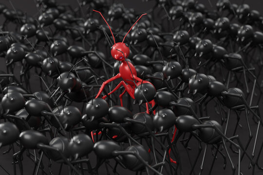 3D models of one red ant standing among large crowd of black ants selective focus at red ant 3D rendering illustration concept of social alienation and peaceful coexistence
