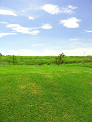 芝生の小山のある夏の公園と江戸川土手風景