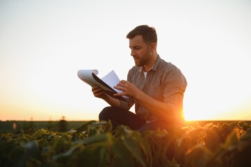 A farmer inspects a green soybean field. The concept of the harvest