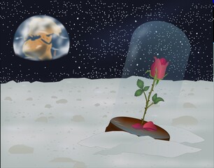 Eternal rose on the moon